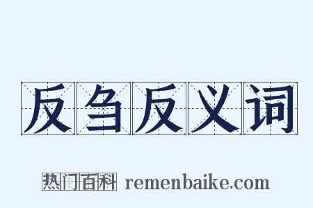 反刍反义词是什么意思的图片